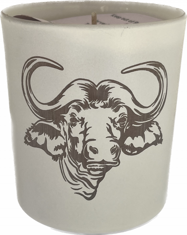 buffalo